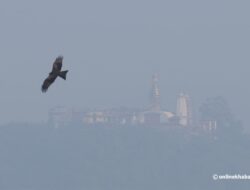 Here are a few options:

* “Kathmandu’s Air Pollution Crisis Demands Immediate Action”
* “Nepal’s Capital Chokes on Pollution: Urgent Steps Needed”
* “Kathmandu’s Dirty Air: A Growing Health Crisis”
* “Time to Tackle Kathmandu’s Air Pollution Epidemic”
* “Kathmandu’s Air Pollution Crisis: A Call to Action”