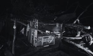 Two Killed After Trees Fall During Windstorm in Udayapur’s Katari