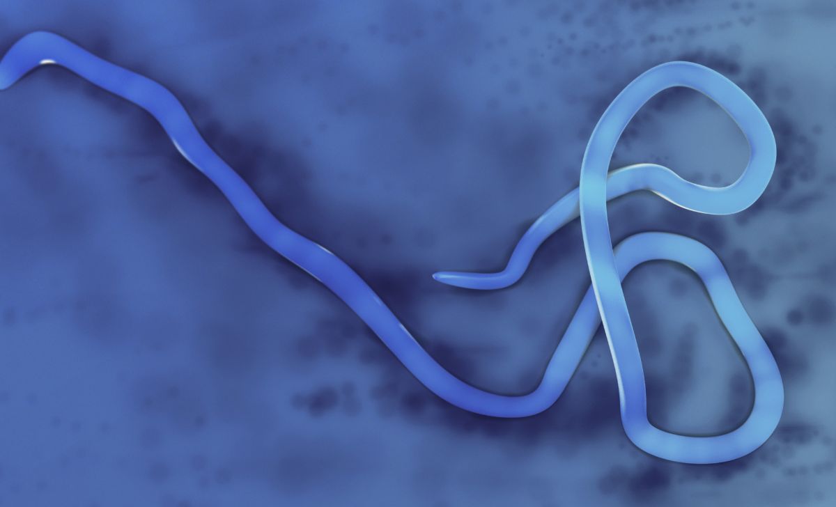Ebola Outbreak Congo Uganda