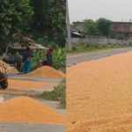Rautahat Roads Maize grounds