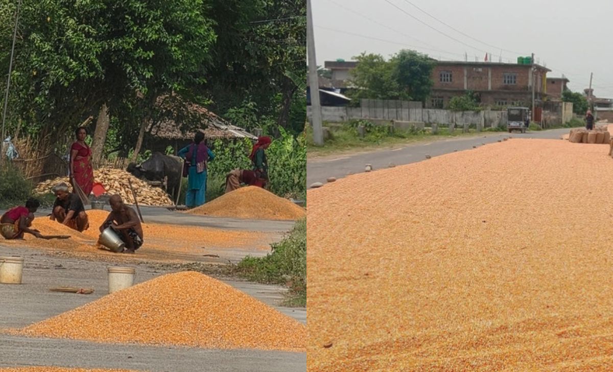 Rautahat Roads Maize grounds