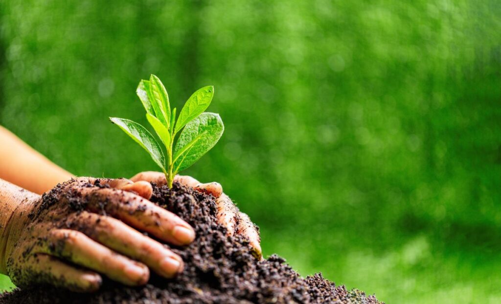 World Environment Day
