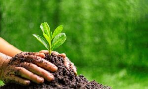 World Environment Day